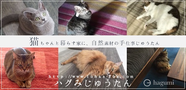 http://www.if-101.com/news/upload_images/neko.jpg