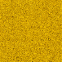 AK5503.jpg